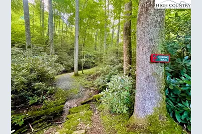 125 Stone Ledge Lane, Blowing Rock, NC 28605 - Photo 39