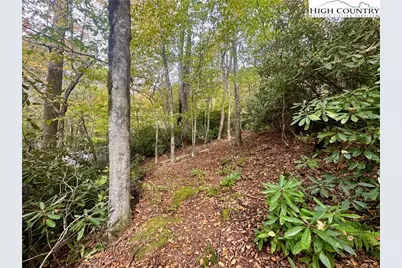 125 Stone Ledge Lane, Blowing Rock, NC 28605 - Photo 9