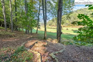 225 Hope Town Rd, Vilas, NC 28692 - Photo 31