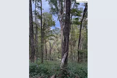 Lot 74A Tbd Poplar Trail, Creston, NC 28615 - Photo 3