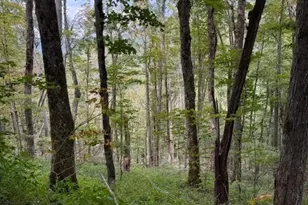 Lot 74A Tbd Poplar Trail, Creston, NC 28615 - Photo 1