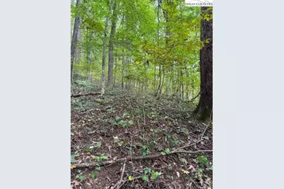 Lot 770 Tbd Ivy Court, Creston, NC 28615 - Photo 7