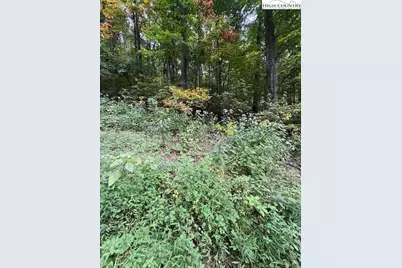 Lot 770 Tbd Ivy Court, Creston, NC 28615 - Photo 3