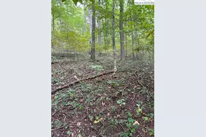 Lot 770 Tbd Ivy Court, Creston, NC 28615 - Photo 5