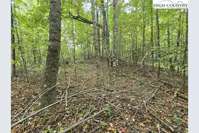 Tbd Parsons Hill Road, Lansing, NC 28643 - Photo 3