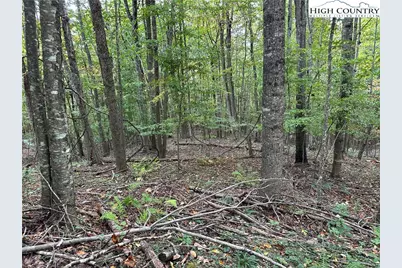 Tbd Parsons Hill Road, Lansing, NC 28643 - Photo 5