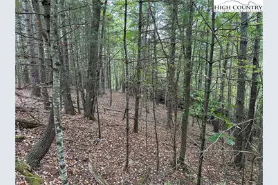 Tbd Parsons Hill Road, Lansing, NC 28643 - Photo 7