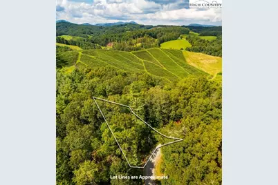 490 Laurelwood Lane, Boone, NC 28607 - Photo 39