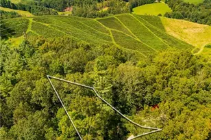 490 Laurelwood Ln, Boone, NC 28607 - Photo 39