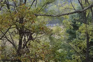 2164 River Bend Rd, Mouth of Wilson, VA 24363 - Photo 49