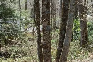 439 Locust Rd, Newland, NC 28657 - Photo 1