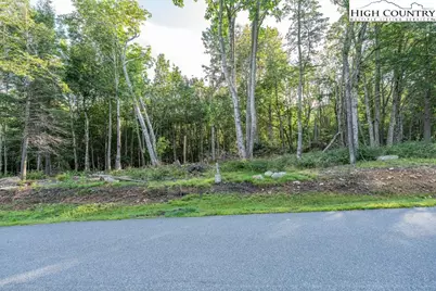 Es49 Rippling Waters Trail, Banner Elk, NC 28604 - Photo 7