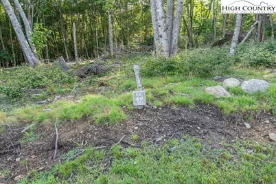 Es49 Rippling Waters Trail, Banner Elk, NC 28604 - Photo 3