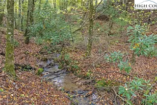 201 Eagles Nest Trl, West Jefferson, NC 28694 - Photo 35