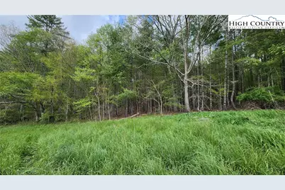 Tbd Hwy 194 Three Mile, Newland, NC 28657 - Photo 7