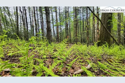 Tbd Hwy 194 Three Mile, Newland, NC 28657 - Photo 5