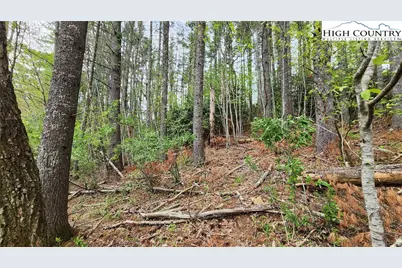 Tbd Hwy 194 Three Mile, Newland, NC 28657 - Photo 9