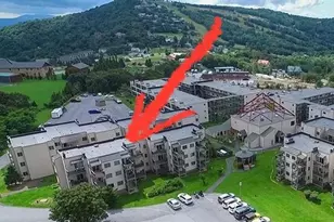 301 Pinnacle Inn Rd, Beech Mountain, NC 28604 - Photo 39