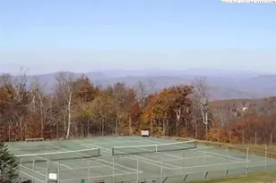 301 Pinnacle Inn Rd, Beech Mountain, NC 28604 - Photo 31