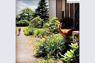 301 Pinnacle Inn Road #1304, Beech Mountain, NC 28604 - Photo 25