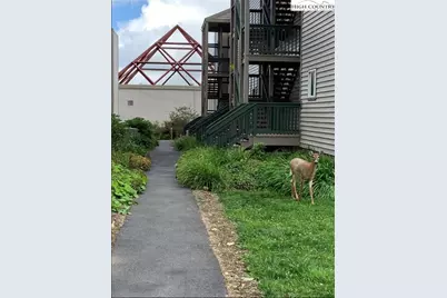 301 Pinnacle Inn Road #1304, Beech Mountain, NC 28604 - Photo 37