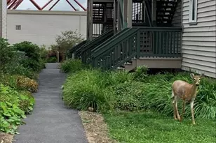 301 Pinnacle Inn Rd, Beech Mountain, NC 28604 - Photo 37