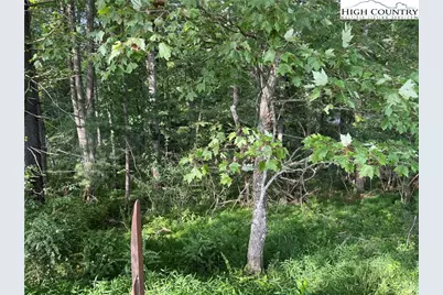 Lot 605 Mtn Dew Drive, West Jefferson, NC 28694 - Photo 1