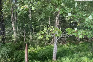 Lot 605 Mtn Dew Dr, West Jefferson, NC 28694 - Photo 1