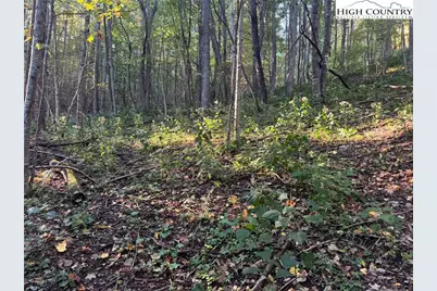 3.59 Acres Mulberry Cove Road, Boone, NC 28607 - Photo 11