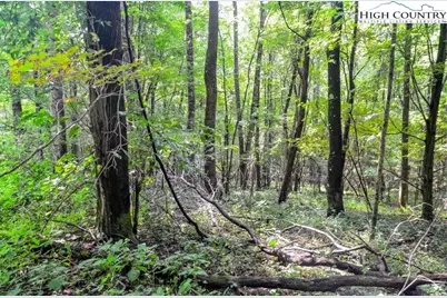 3.59 Acres Mulberry Cove Road, Boone, NC 28607 - Photo 5