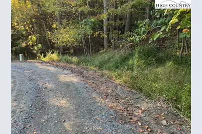 3.59 Acres Mulberry Cove Road, Boone, NC 28607 - Photo 3