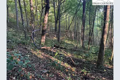 3.59 Acres Mulberry Cove Road, Boone, NC 28607 - Photo 17
