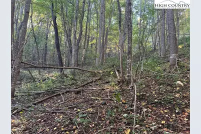 3.59 Acres Mulberry Cove Road, Boone, NC 28607 - Photo 15
