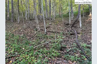 3.59 Acres Mulberry Cove Road, Boone, NC 28607 - Photo 13