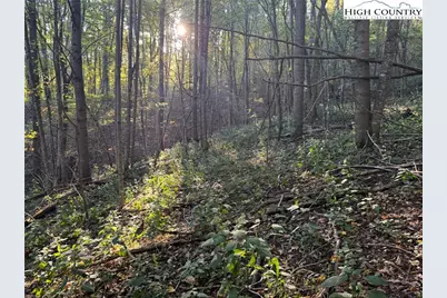 3.59 Acres Mulberry Cove Road, Boone, NC 28607 - Photo 11