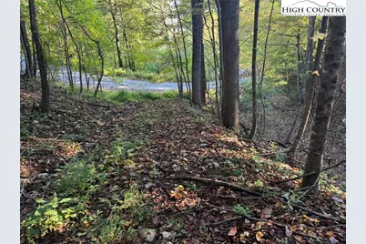 3.59 Acres Mulberry Cove Road, Boone, NC 28607 - Photo 15