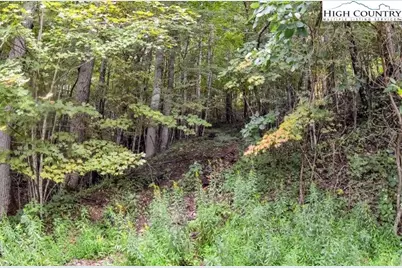 3.59 Acres Mulberry Cove Road, Boone, NC 28607 - Photo 7