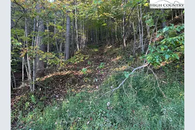 3.59 Acres Mulberry Cove Road, Boone, NC 28607 - Photo 5
