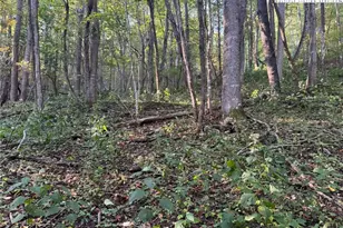 3 59 Acres Mulberry Cove Rd, Boone, NC 28607 - Photo 1