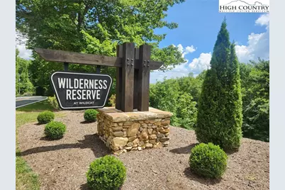 Lot 99 Wildcat Wilderness Parkway, Boone, NC 28607 - Photo 5