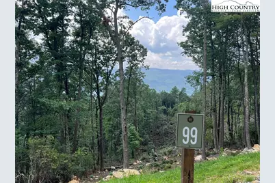 Lot 99 Wildcat Wilderness Parkway, Boone, NC 28607 - Photo 3