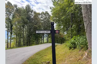 Tbd Bear Paw Road, Elk Park, NC 28622 - Photo 9