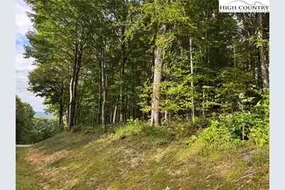 Tbd Bear Paw Road, Elk Park, NC 28622 - Photo 11