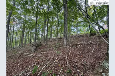 Tbd Bear Paw Road, Elk Park, NC 28622 - Photo 5
