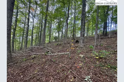Tbd Bear Paw Road, Elk Park, NC 28622 - Photo 7