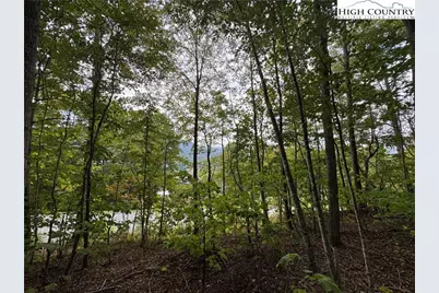 Tbd Bear Paw Road, Elk Park, NC 28622 - Photo 3