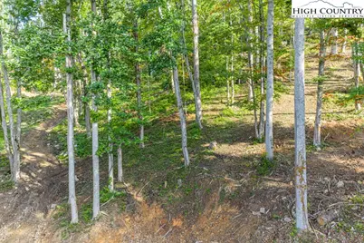 C1 Eagles Nest Trail, Banner Elk, NC 28604 - Photo 11