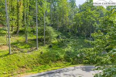 C1 Eagles Nest Trail, Banner Elk, NC 28604 - Photo 13