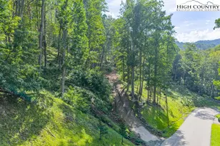 C1 Eagles Nest Trail, Banner Elk, NC 28604 - Photo 1