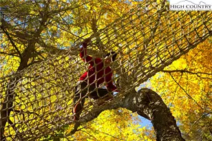 7 Eagle Vlg Cir, Banner Elk, NC 28604 - Photo 43